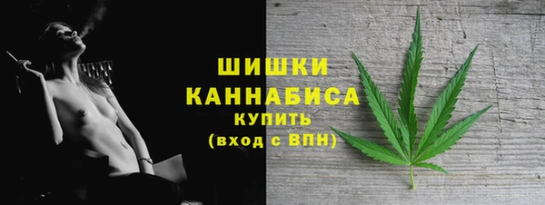 стаф Мегион