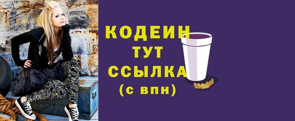 стаф Мегион