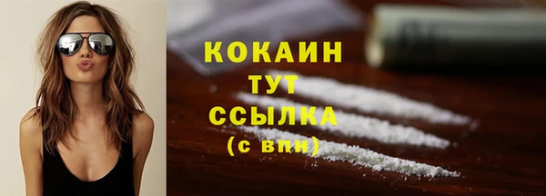 стаф Мегион