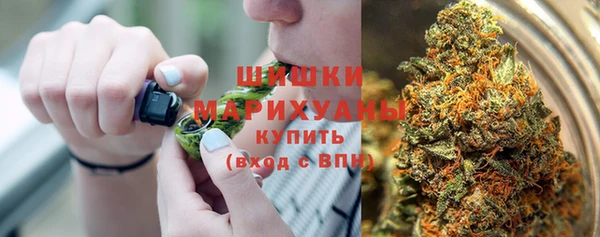 тгк Медногорск