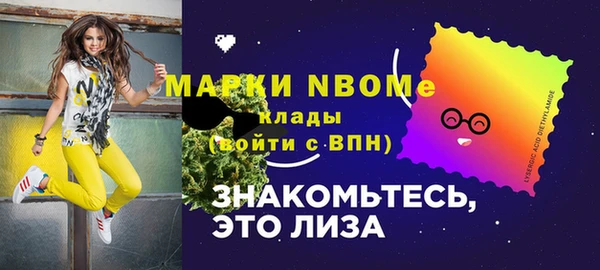 индика Артём