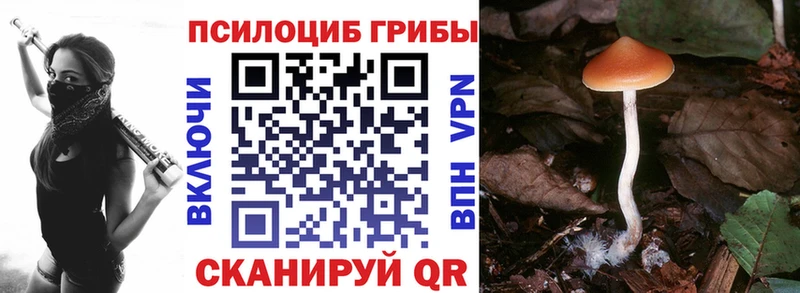 Галлюциногенные грибы мицелий  Новочебоксарск 