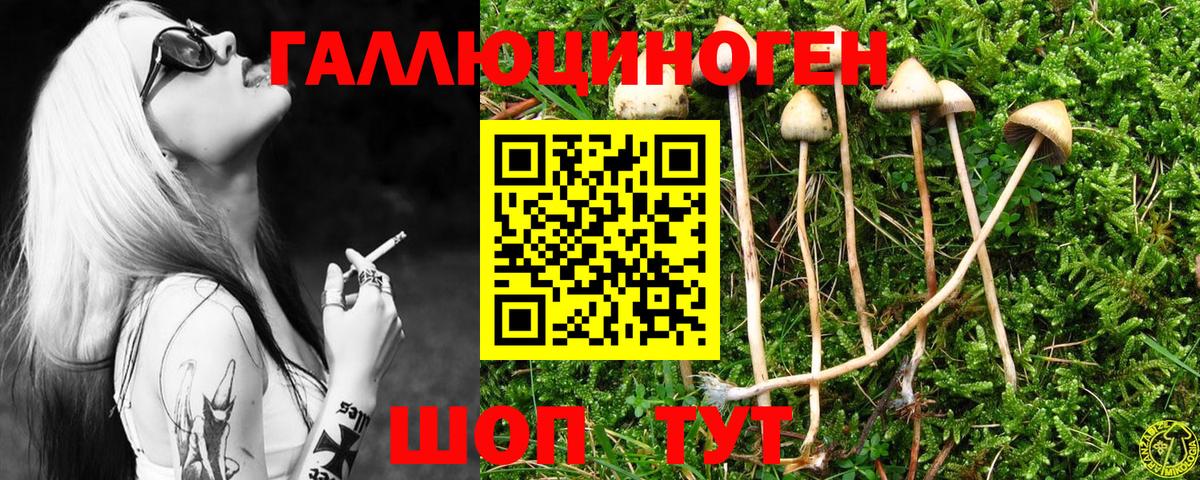 Новочебоксарск  Псилоцибиновые грибы прущие грибы  Вход с VPN  Псилоцибиновые грибы GOLDEN TEACHER 