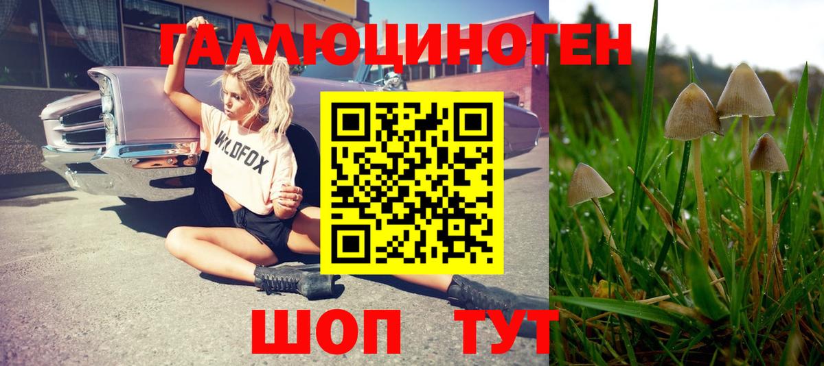 Бошки Шишки Новочебоксарск