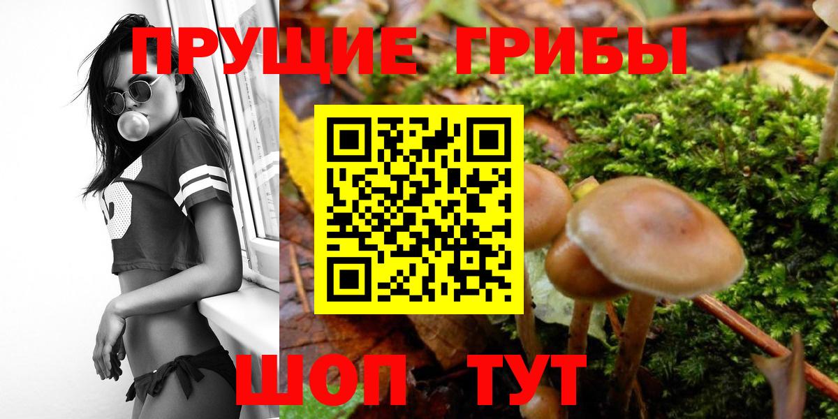 Псилоцибиновые грибы MAGIC MUSHROOMS Новочебоксарск
